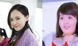 明星爆料胖子视频大全,胖子视频大盘点，笑料百出引人捧腹