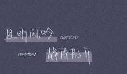 娱乐文字爆料文案短句,揭秘明星幕后故事