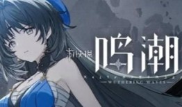 鸣潮椿爆料最新,揭秘娱乐圈最新热点事件