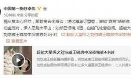 爆料剧情视频下载安装最新,爆料视频背后的秘密与惊喜