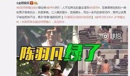 河南出轨爆料新闻报道视频,视频揭露惊人真相，夫妻关系面临考验