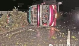 泉州车祸最新爆料,悲剧现场细节披露，事故原因引关注