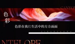 颜色在线观看33