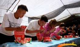 最新吃瓜爆料 河北,最新吃瓜爆料揭秘惊人内幕！”