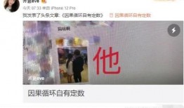 小嘉被爆料出轨视频,真相与争议