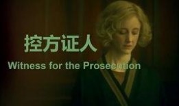 控方证人在线观看国语,在线观看国语版，揭秘真相背后的较量