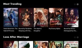 最新国产在线观看