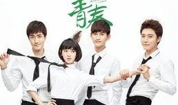 致青春在线观看电视剧,青春岁月里的爱情与成长