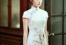 小楠旗袍爆料了吗视频,揭秘旗袍界幕后真相