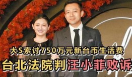 媒体爆料汪小菲视频,揭秘豪门背后的真实生活