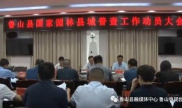 河南都市爆料鲁山新闻,都市爆料揭示当地新闻动态