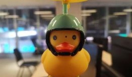 遇见小黄鸭最新的爆料视频,揭秘幕后故事与精彩瞬间