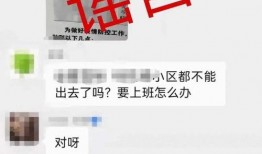 金华爆料事件视频播放时间,揭秘事件背后惊人真相，播放时间引发热议
