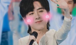 谁爆料了刘宇宁视频合集,揭秘背后故事