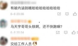 圈内爆料杨紫粉丝,揭秘杨紫幕后故事与粉丝情感纠葛