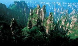 张家界吃瓜爆料视频大全,一网打尽热门事件瞬间