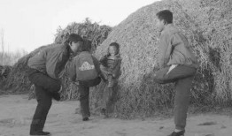 石家庄农村爆料案件最新,揭开神秘案情背后的真相