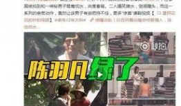 谭乔老婆爆料视频大全,揭秘夫妻生活点滴