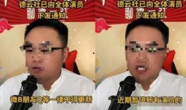陈霄华爆料师傅视频,揭秘幕后的惊人真相