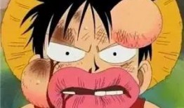 路飞爆料身世视频大全,揭秘海贼王世界中的惊天秘密