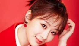 圈内爆料杨紫粉丝,揭秘杨紫幕后故事与粉丝情感纠葛