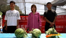 最新吃瓜爆料 河北,最新吃瓜爆料揭秘惊人内幕！”