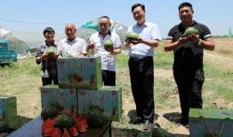 广州市吃瓜影视娱乐公司,打造潮流娱乐新地标