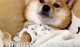 八卦爆料合集视频,揭秘娱乐圈幕后风云