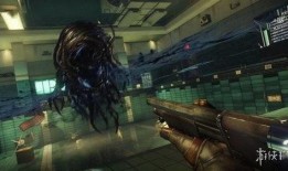 掠食猛兽爆料视频大全,揭秘大自然惊心动魄的捕食奇观