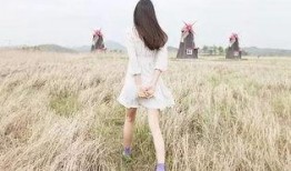 娱乐吃瓜酱背影图片,一场视觉与情感的邂逅