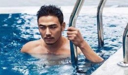 杨烁郑恺最新爆料,揭秘娱乐圈幕后真相