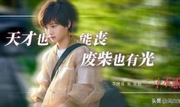 二十不惑在线观看观看,青春逐梦，成长蜕变