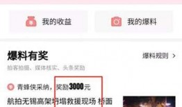 怎么看到我的爆料视频,揭秘爆料视频背后的惊人内幕
