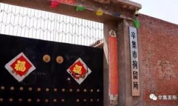 辛集中学爆料案件最新,真相大白，校园安全再引关注