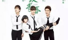 致青春在线观看电视剧,青春岁月里的爱情与成长