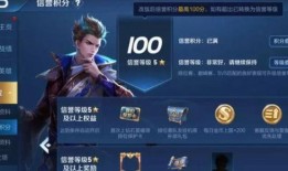 王者网友爆料视频大全最新