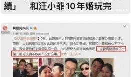 媒体爆料汪小菲视频,揭秘豪门背后的真实生活