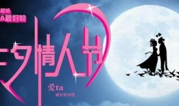 七夕情人节爆料视频网址,揭秘浪漫瞬间，甜蜜瞬间尽在指尖