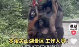 新版野人爆料视频大全,揭秘神秘野人世界