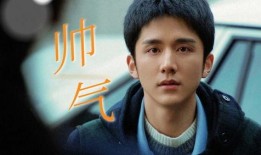 流星男主被爆料视频大全,揭秘娱乐圈背后的真相
