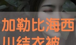 西川在线观看,探索西部风情，尽享云端视听盛宴