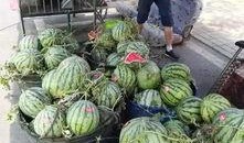 合肥网红吃瓜事件真相,揭秘背后真相与争议