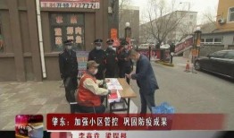 肇东最新爆料事件新闻,事件真相逐步浮出水面