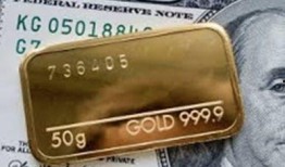 黄金爆料新闻视频播放,揭秘新闻视频背后的精彩瞬间