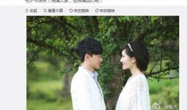 张杰谢娜圈内爆料,揭秘明星夫妻的甜蜜与挑战