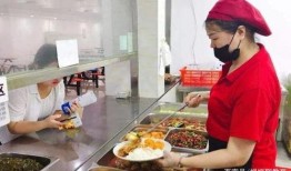 天津配餐爆料者视频大全,揭露行业真相与问题