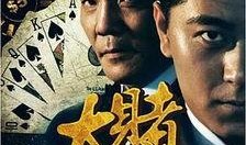 大赌豪在线观看,揭秘赌坛风云，在线观看尽享刺激盛宴