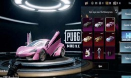 双人跑车皮肤最新爆料,揭秘最新双人跑车皮肤惊艳亮相