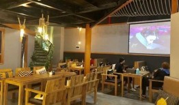 大连探店老虎爆料视频最新,老虎爆料带你探索隐藏美食宝藏