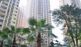 广州市吃瓜影视娱乐公司,打造潮流娱乐新地标